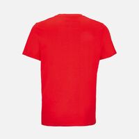 gi-048591613XL