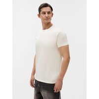 gi-115001013XL