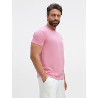 gi-1374.561