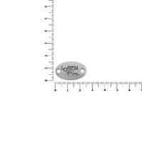 gi-13843.10