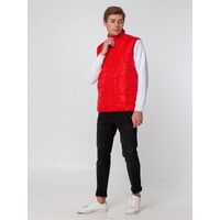 gi-14116.500
