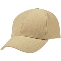 gi-16204.10