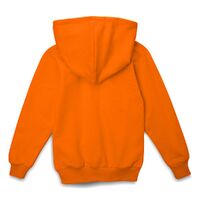 gi-16211.201