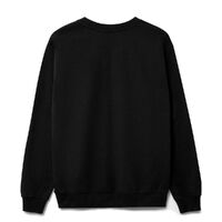 gi-16214.300