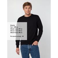 gi-16214.300