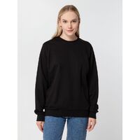 gi-16214.300