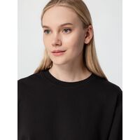 gi-16214.300