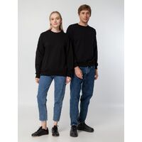 gi-16214.300