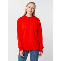 gi-16214.500