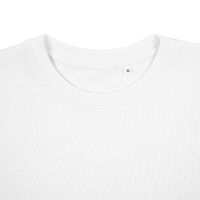 gi-16214.600