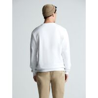 gi-16214.600
