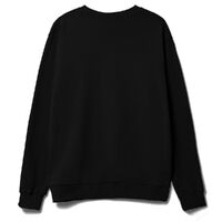 gi-16217.300