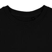 gi-16217.300