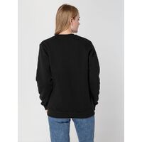 gi-16217.300