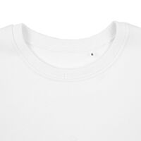 gi-16217.600