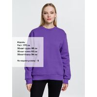 gi-16217.782