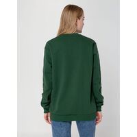 gi-16217.900