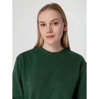 gi-16217.900