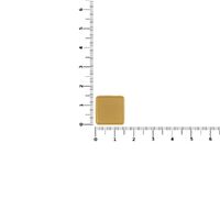 gi-16251.00