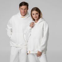 gi-16252.00