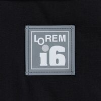 gi-16558.10