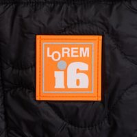 gi-16558.22