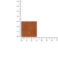 gi-16573.82