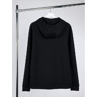 gi-16699.300