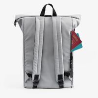 gi-17295.10