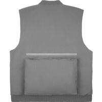 gi-17403.100
