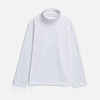 gi-17971.601