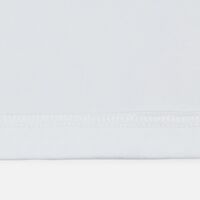gi-17971.601