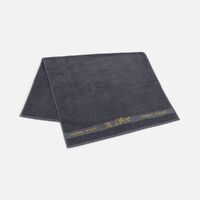 gi-18692.01
