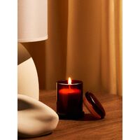 gi-19056.50