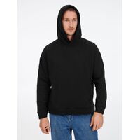 gi-21118.301
