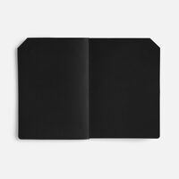 gi-21668.20