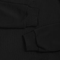 gi-25413.300