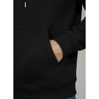 gi-25573.300