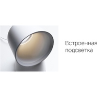 oa-595598p