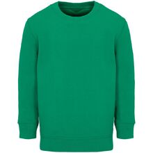 Свитшот детский Columbia Kids, ярко-зеленый, на рост 96-104