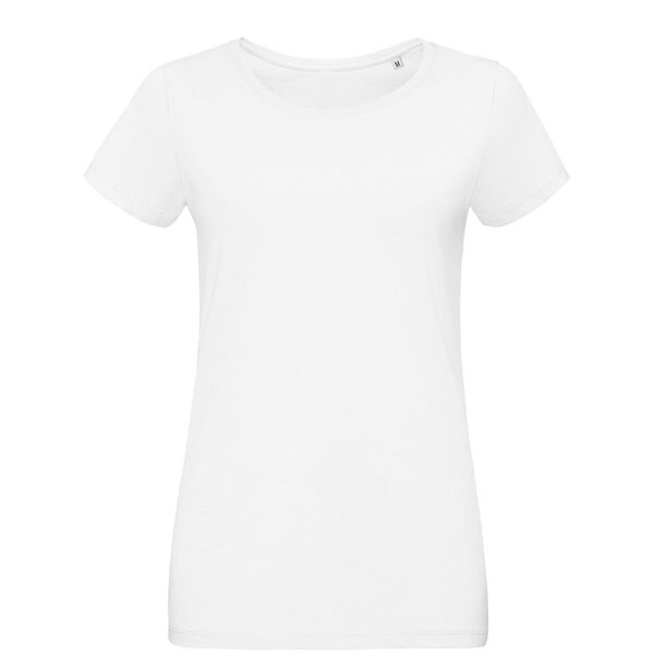 /i/product/gi-02856102L.jpg